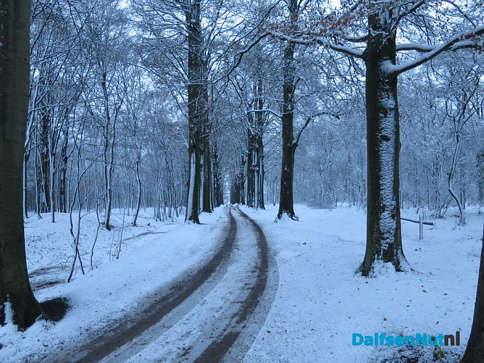 Sneeuw ontneemt ganzen richtingsgevoel - Foto: Wim