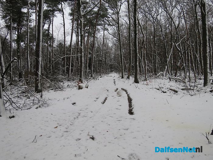 Misschien voor even de laatste sneeuwfoto’s? - Foto: Wim