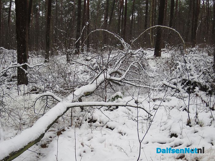 Misschien voor even de laatste sneeuwfoto’s? - Foto: Wim