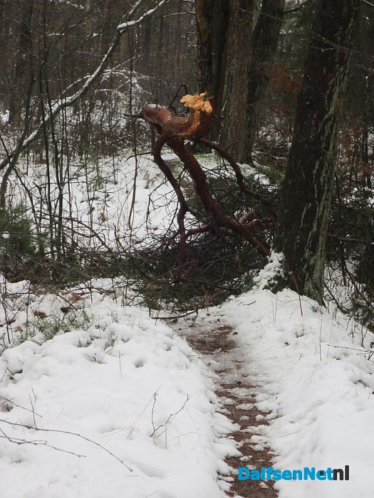 Misschien voor even de laatste sneeuwfoto’s? - Foto: Wim