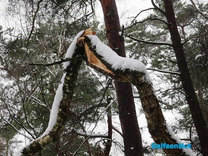 Misschien voor even de laatste sneeuwfoto’s? - Foto: Wim