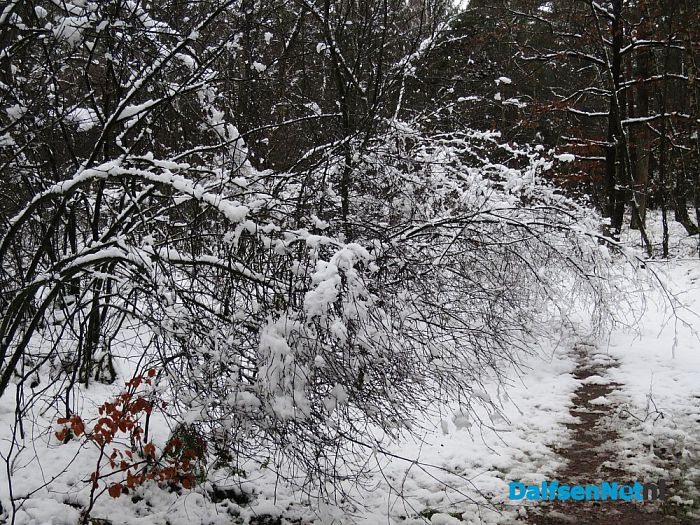 Misschien voor even de laatste sneeuwfoto’s? - Foto: Wim