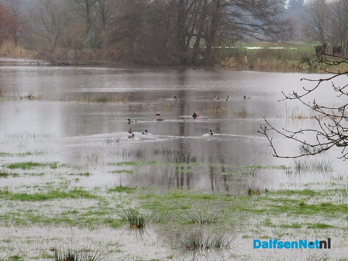 De Vecht volop buiten de oevers - Foto: Wim