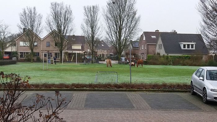 Is het gras bij de buren toch groener? - Foto: Eigen geleverde foto