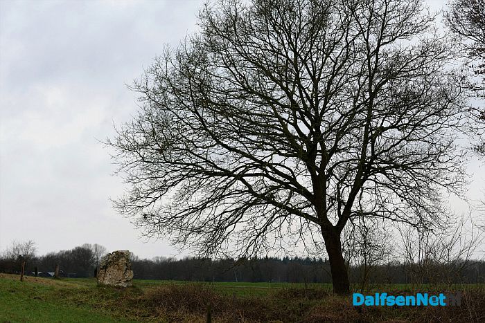 Winter welkomstceremonie aan de Vecht - Foto: Johan Bokma