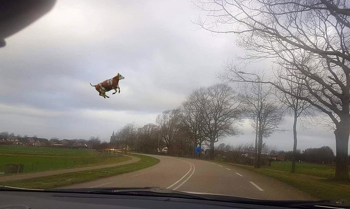 Leuke foto vandaag onderweg… - Foto: Geert Bistervels