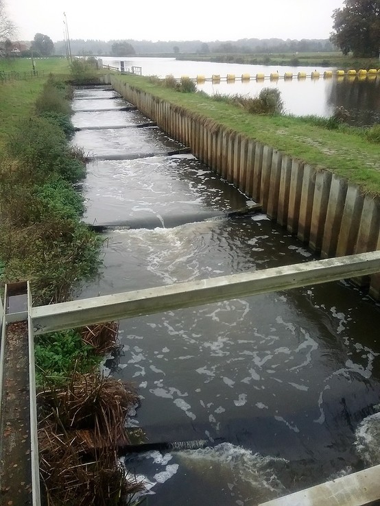 Water in de Vecht weer op normale hoogte - Foto: Eigen geleverde foto
