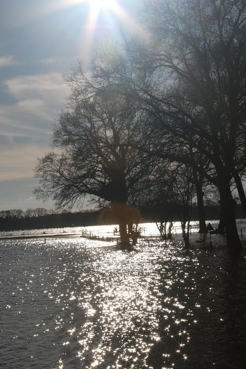 Diverse hoogwater foto’s - Foto: Eigen geleverde foto
