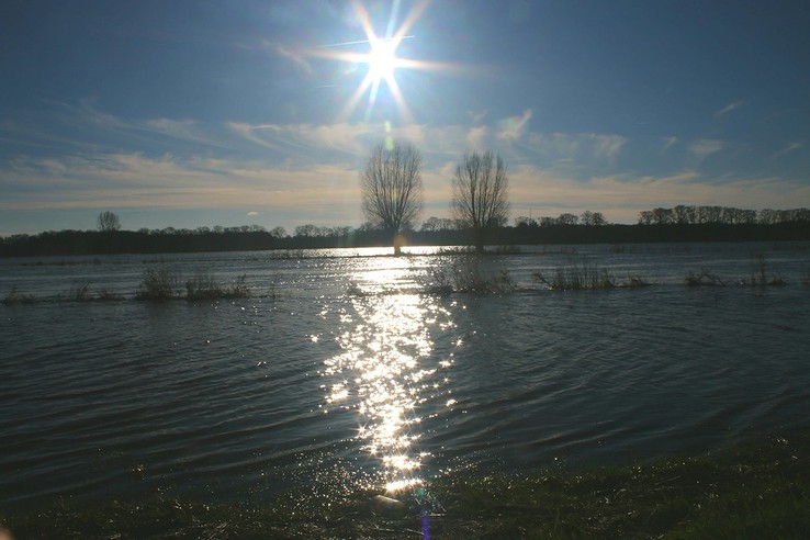 Diverse hoogwater foto’s - Foto: Eigen geleverde foto