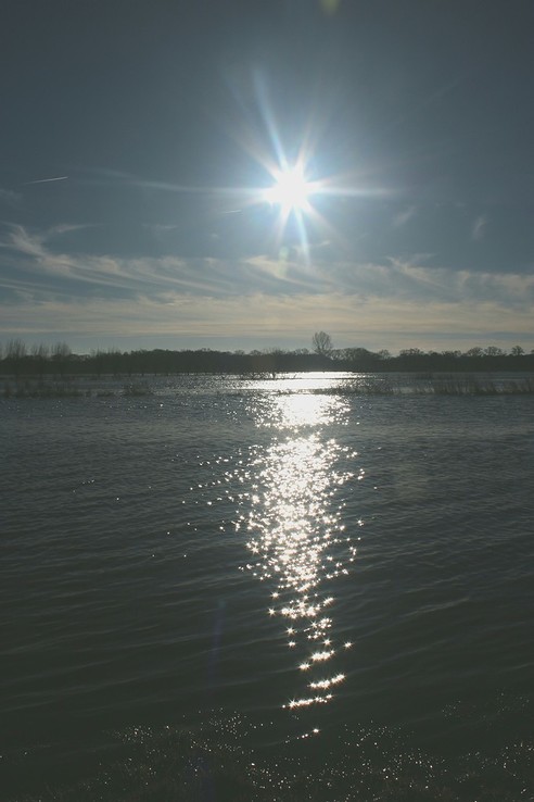 Diverse hoogwater foto’s - Foto: Eigen geleverde foto