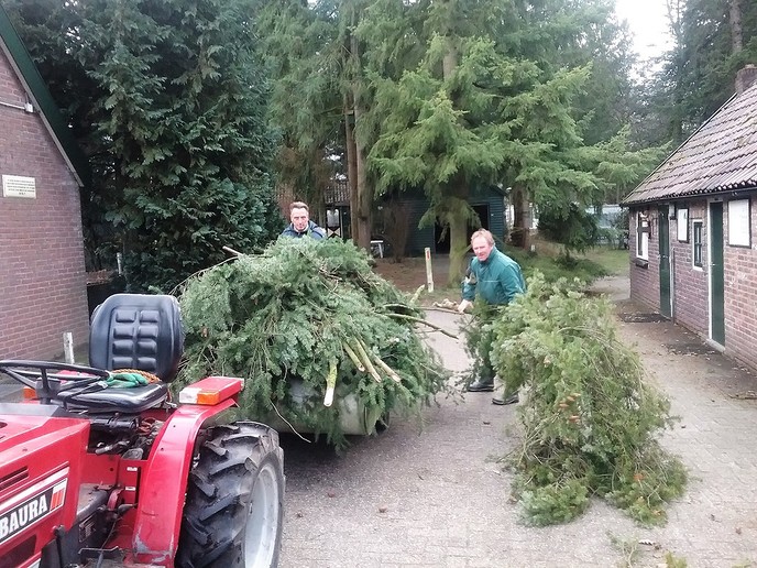 Waterleiding stuk: oorzaak storm - Foto: Eigen geleverde foto