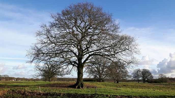 Het was vandaag heerlijk wandelweer - Foto: Eigen geleverde foto