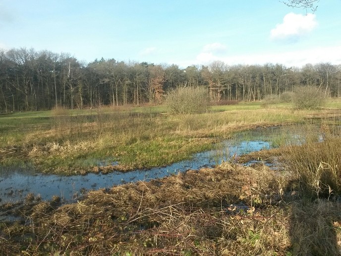 Het was vandaag heerlijk wandelweer - Foto: Eigen geleverde foto