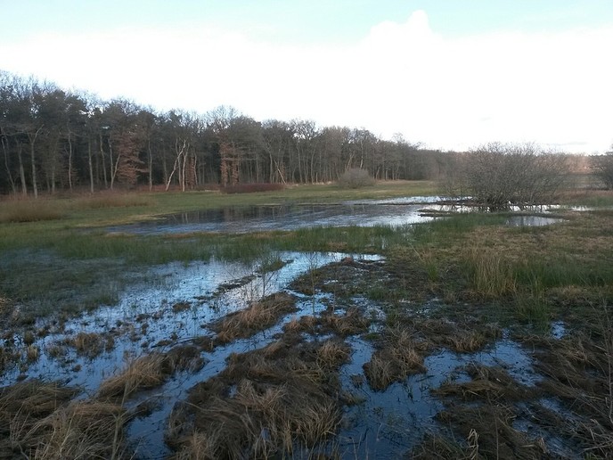 Het was vandaag heerlijk wandelweer - Foto: Eigen geleverde foto