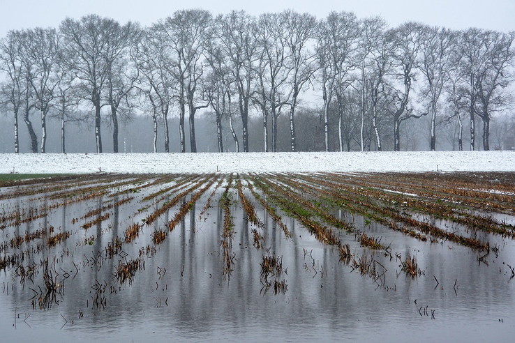 Expositie fotoclub Dalfsen: “thema Water” - Foto: Eigen geleverde foto