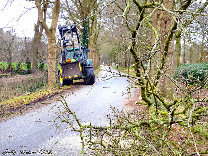 Als luciferstokjes vlogen de bomen door de lucht