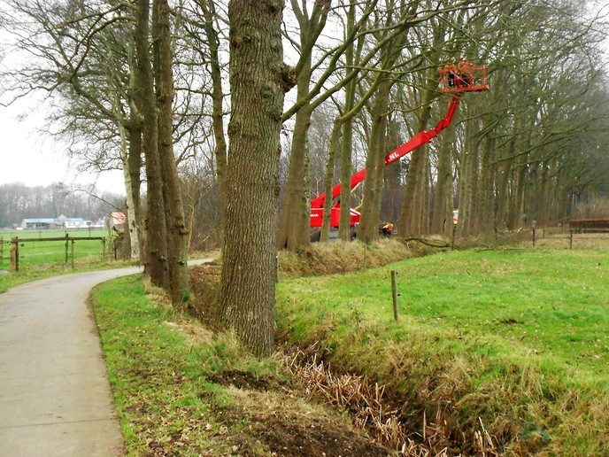 Snoeiwerk Maatpad