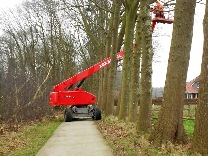 Snoeiwerk Maatpad