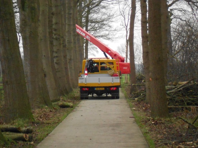 Snoeiwerk Maatpad
