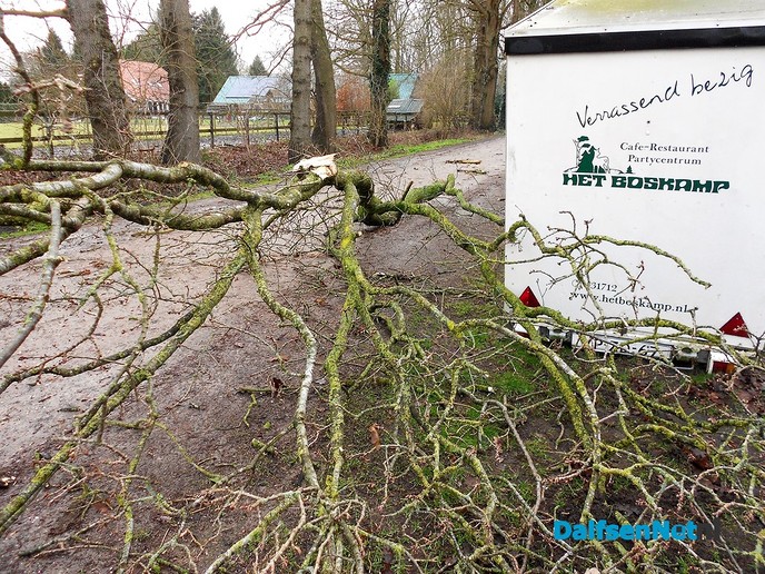 Als luciferstokjes vlogen de bomen door de lucht