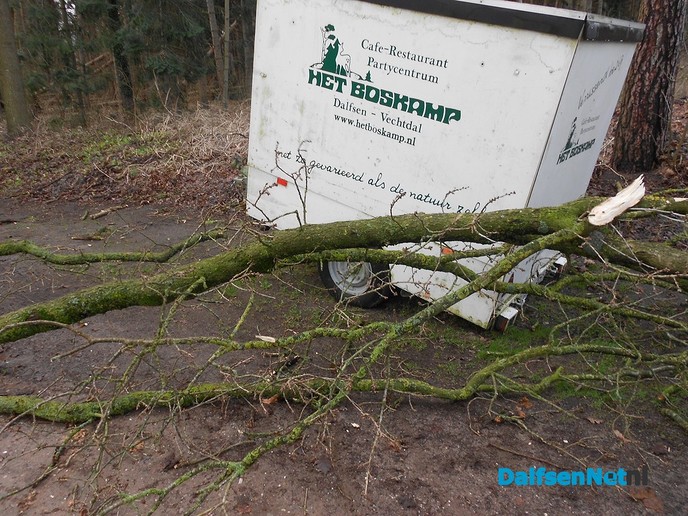 Als luciferstokjes vlogen de bomen door de lucht