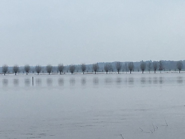Diverse hoogwater foto’s - Foto: Eigen geleverde foto