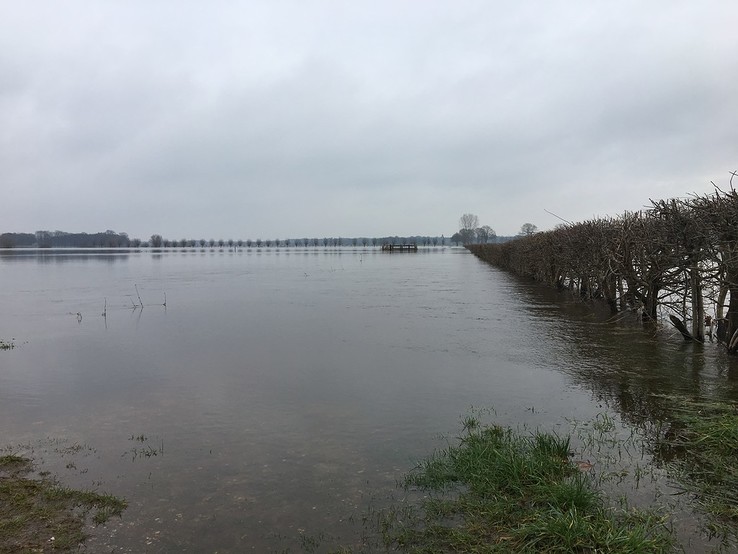 Diverse hoogwater foto’s - Foto: Eigen geleverde foto