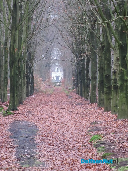 De Vilsterse mölle op de Mölnesch te Vilsteren - Foto: Wim