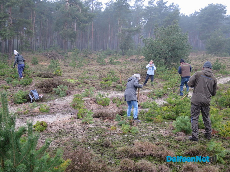 De hei op met de boswachter, natuurwerkdag - Foto: Wim