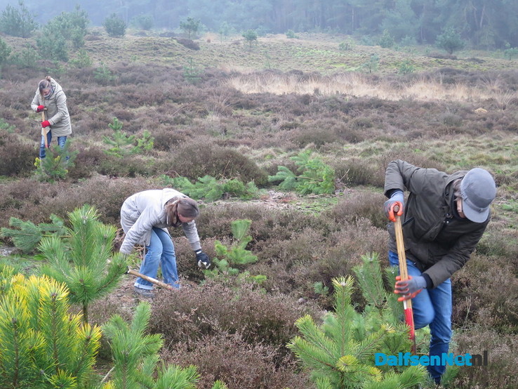 De hei op met de boswachter, natuurwerkdag - Foto: Wim