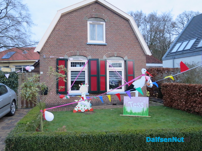 De ooievaar is net terug en erg druk - Foto: Wim