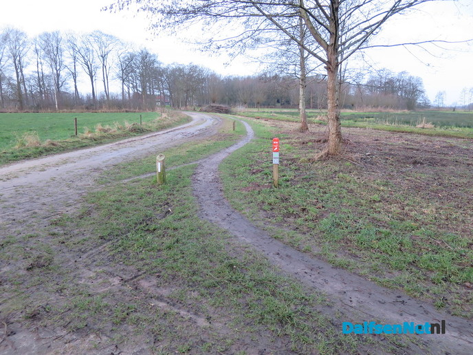 Slechte toestand fiets/voetpaden - Foto: Wim