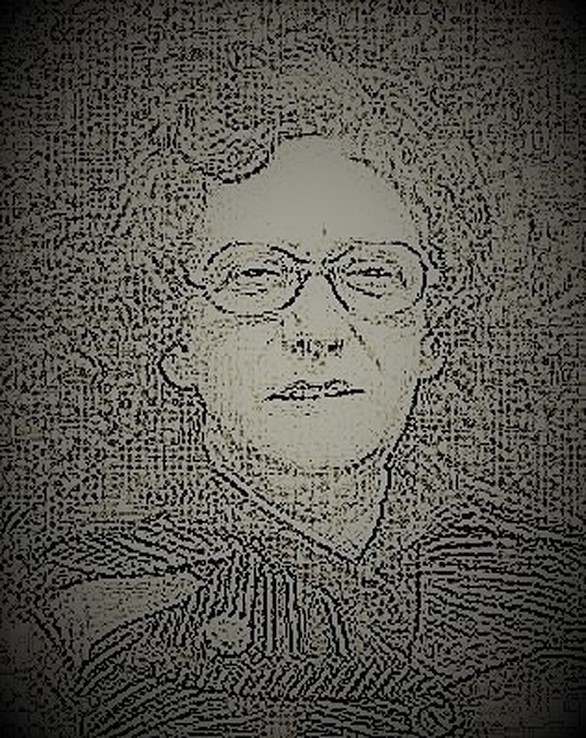 Zondag 4 febr. de Marie Kievitsbosch wandeltocht