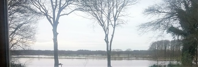 De poel zet de boel onder water - Foto: Eigen geleverde foto
