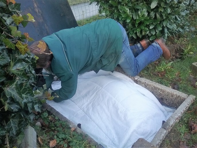 De winter komt er aan - Foto: Eigen geleverde foto
