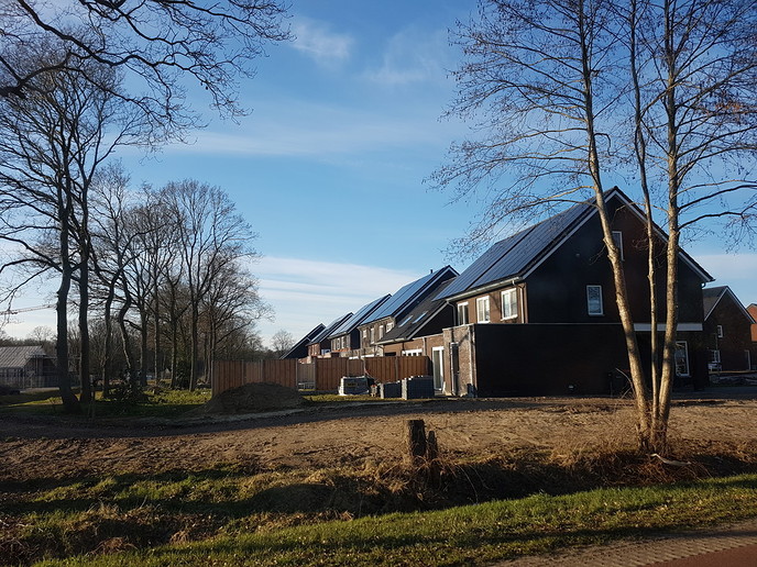 Meert, dialect moand: zunne energie - Foto: Eigen geleverde foto