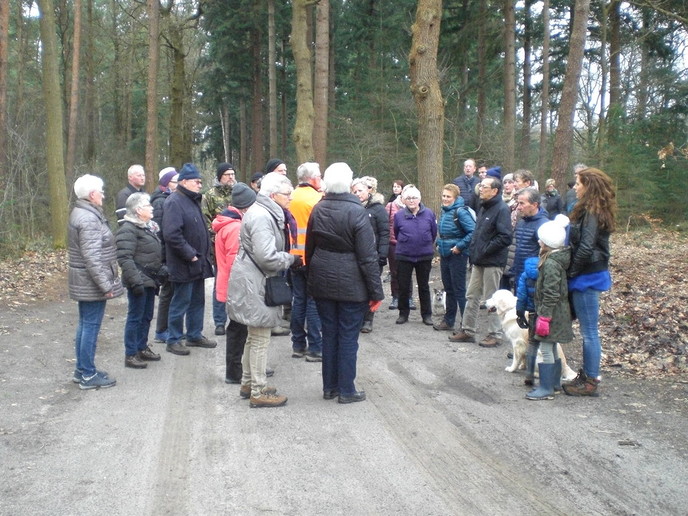 Prima wandelweer tijdens de Marie Kievitsbosch wandeltocht
