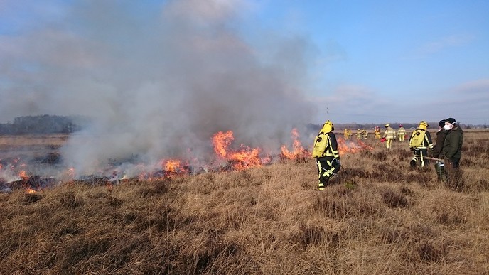 Landschap Overijssel:de brand er in - Foto: Eigen geleverde foto