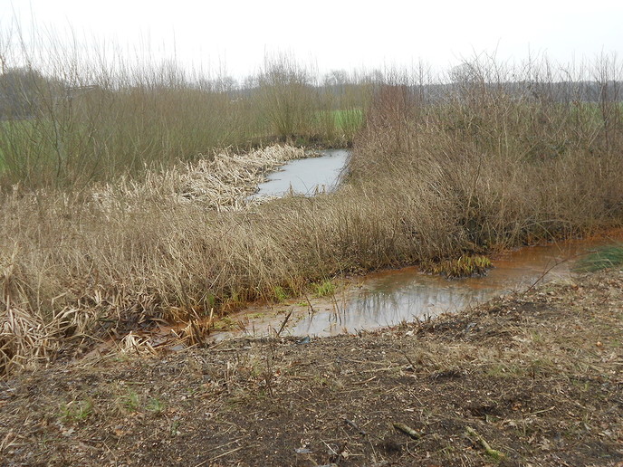 Zo maar even een beetje natuur