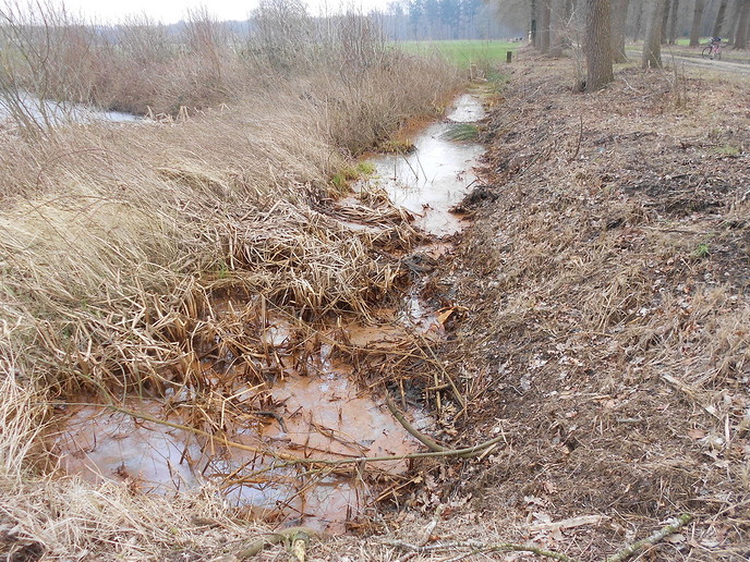 Zo maar even een beetje natuur