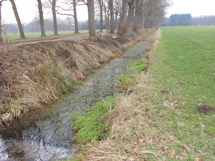 Zo maar even een beetje natuur