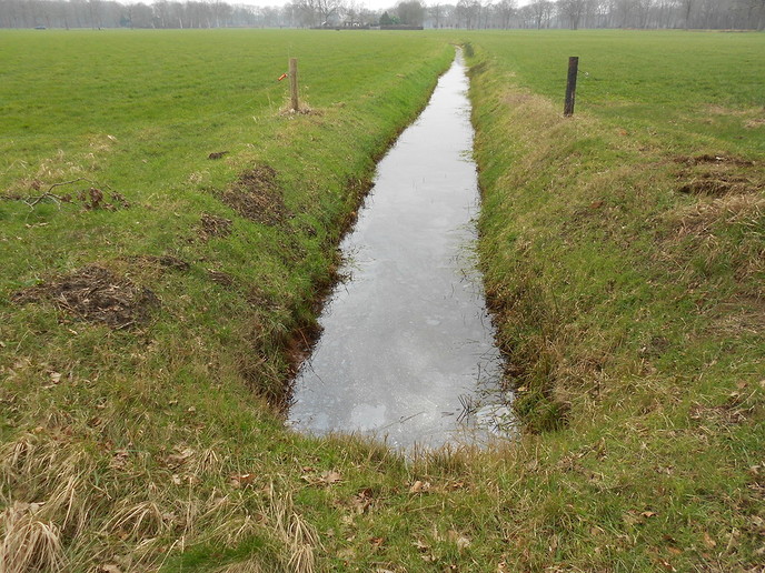 Zo maar even een beetje natuur