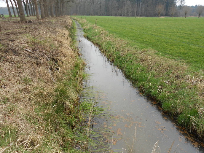 Zo maar even een beetje natuur
