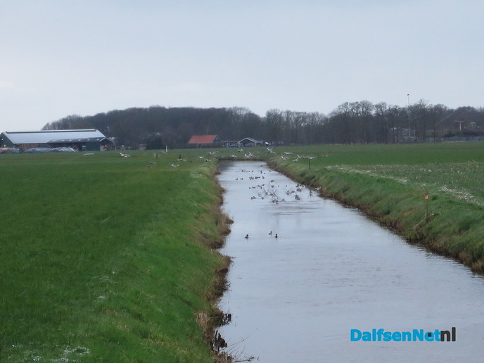 Rondje Hoonhorst op een prachtige wandelochtend - Foto: Wim