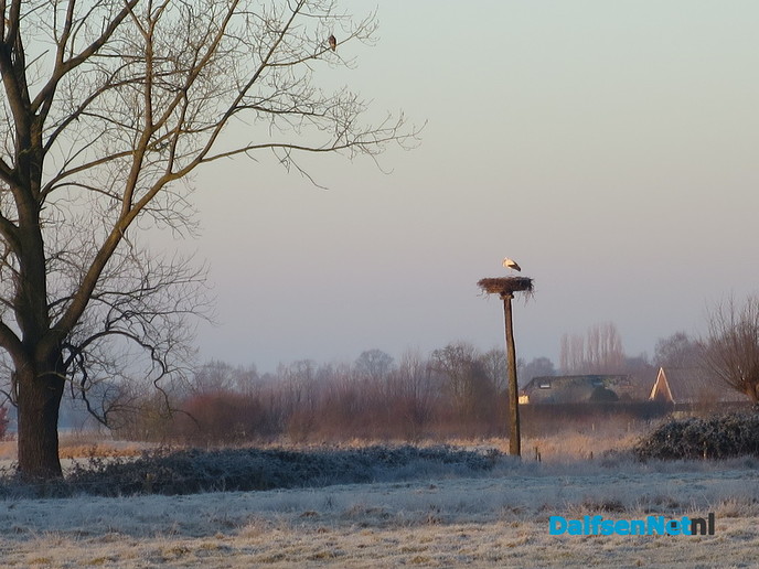 Een koude zondagmorgen - Foto: Wim