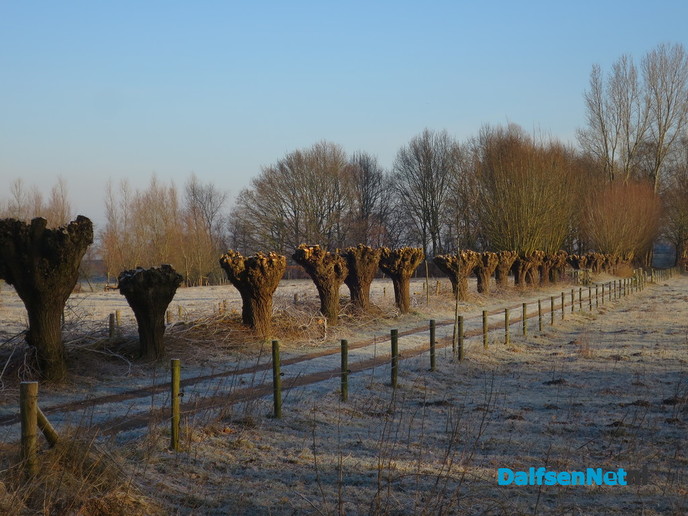 Een koude zondagmorgen - Foto: Wim