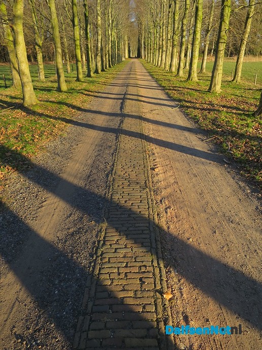 Een zonovergoten ochtendwandeling - Foto: Wim