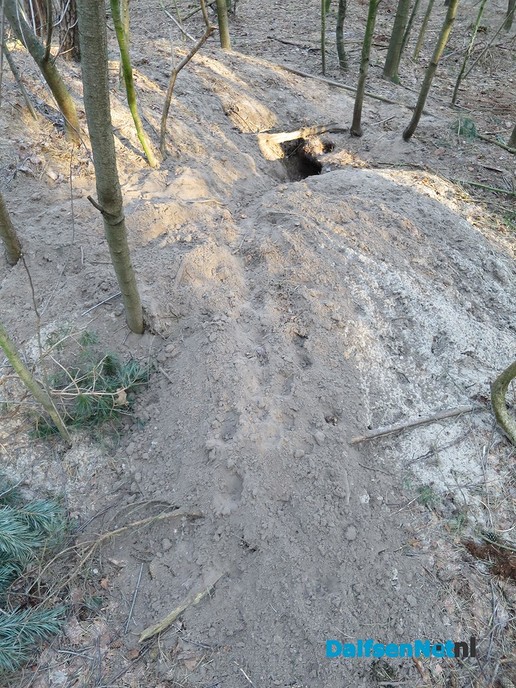 Een zonovergoten ochtendwandeling - Foto: Wim