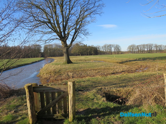 Een zonovergoten ochtendwandeling - Foto: Wim