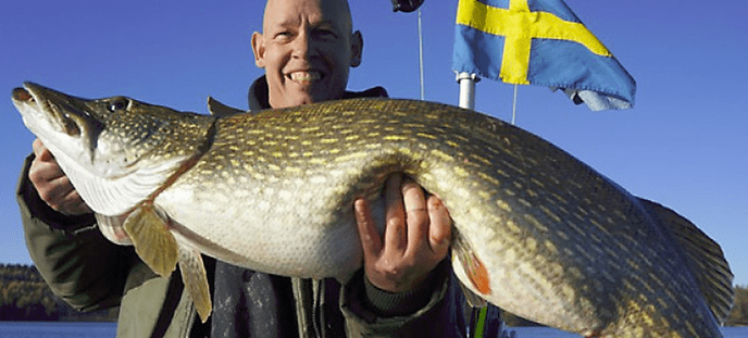 NK IJsvissen 2018 - Foto: Eigen geleverde foto